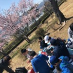 春休みの様子(樹の子クラブ) 春休みの様子(樹の子クラブ)