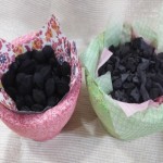 樹林(きりん) 炭入りエコポット