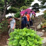 樹林(きりん)ワーク班 外活動3